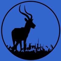 M.A.F - Single - Lisergic