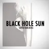 Black Hole Sun