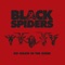 D&B - Black Spiders lyrics