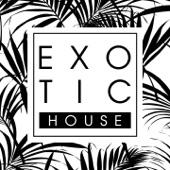 Exotic House, Vol. 1 artwork