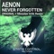 Never Forgotten (Miroslav Vrlik Remix) - Aenon lyrics