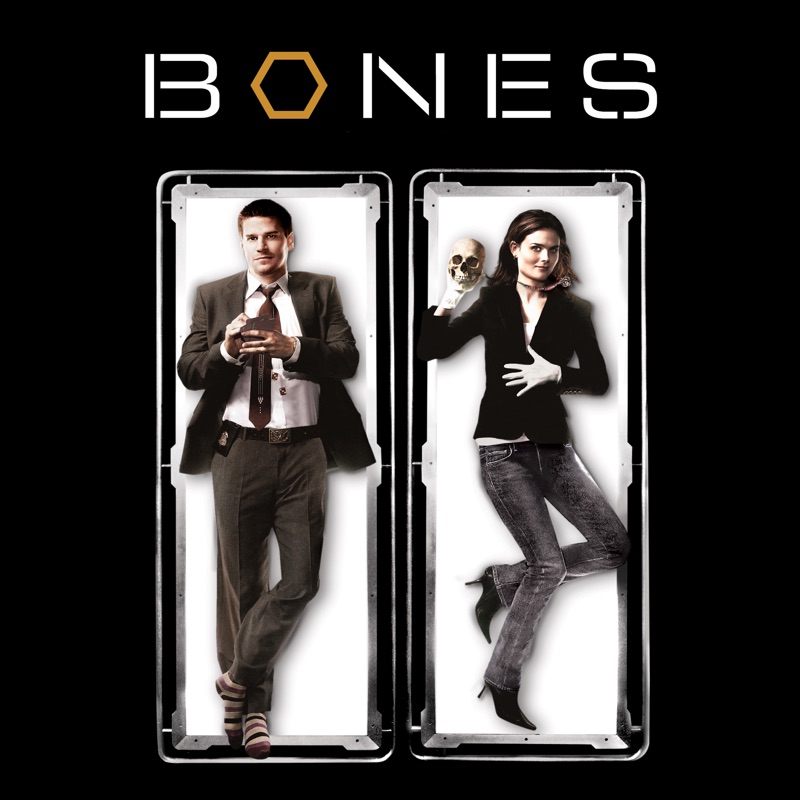Bones, Staffel 2