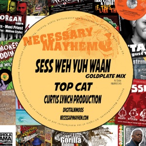Sess Weh Yuh Want (feat. Top Cat) - Single
