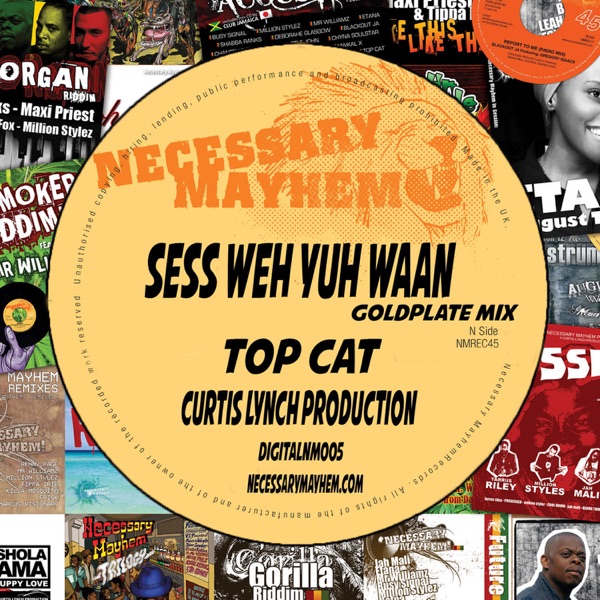 Sess Weh Yuh Want (feat. Top Cat) - Single album cover