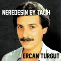 Anadan Ayri