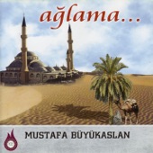 Ağlama Sofi artwork