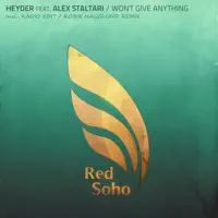 Won't give anything (Robin Hagglund remix) — Heyder feat. Alex Staltari