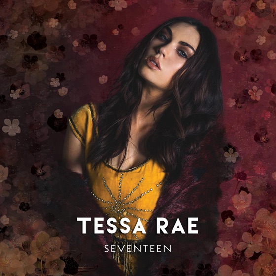 Cover artwork for Seventeen
