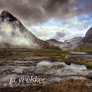 ja, vi elsker