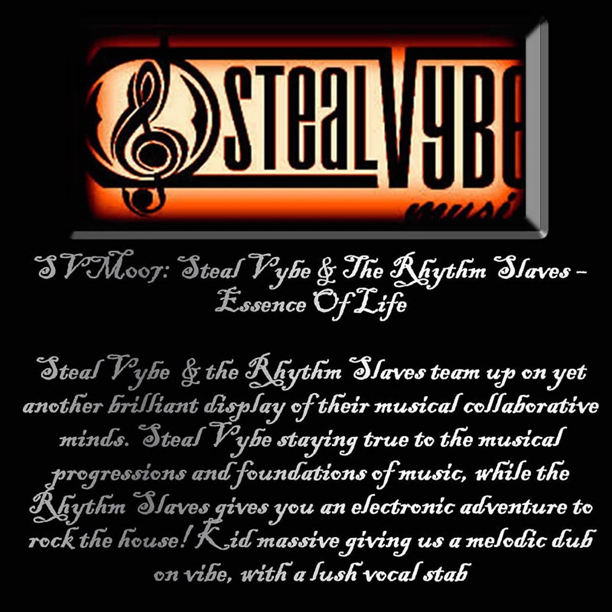 ‎essence Of Life Feat The Rhythm Slaves Album By Steal Vybe Apple Music 2009