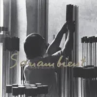Nova — Harry Bertoia