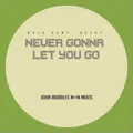 Never Gonna Let You Go (Feat. Seest) (M+M Main Mix)