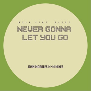 Never Gonna Let You Go (John Morales M+M Mixes) [feat. Seest] - Single