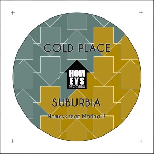 Cold Place (feat. Marina P) - Single
