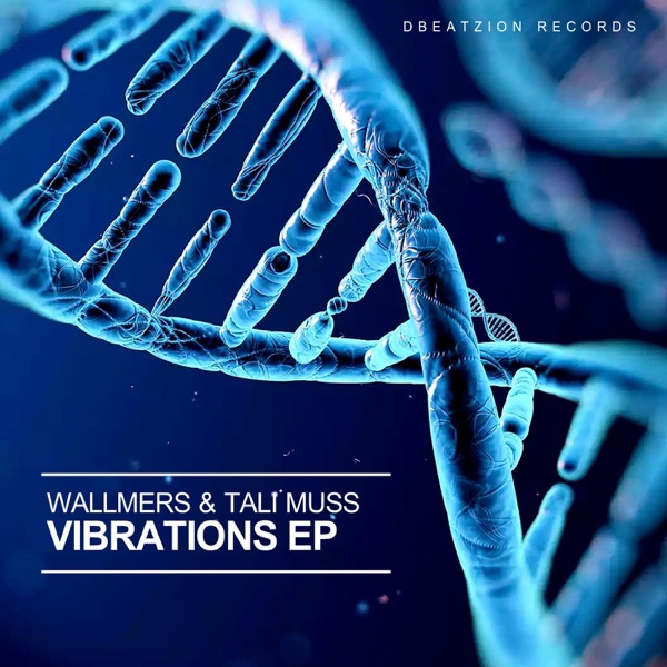 Vibrations - Single