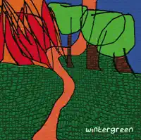 The Magic Road — Wintergreen