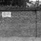 College Road - Easy Morph lyrics