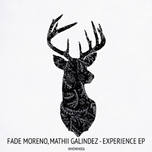 Experience EP