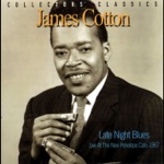 James Cotton - Mean Old World (Live)