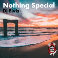 DJ Elvis - Nothing Special