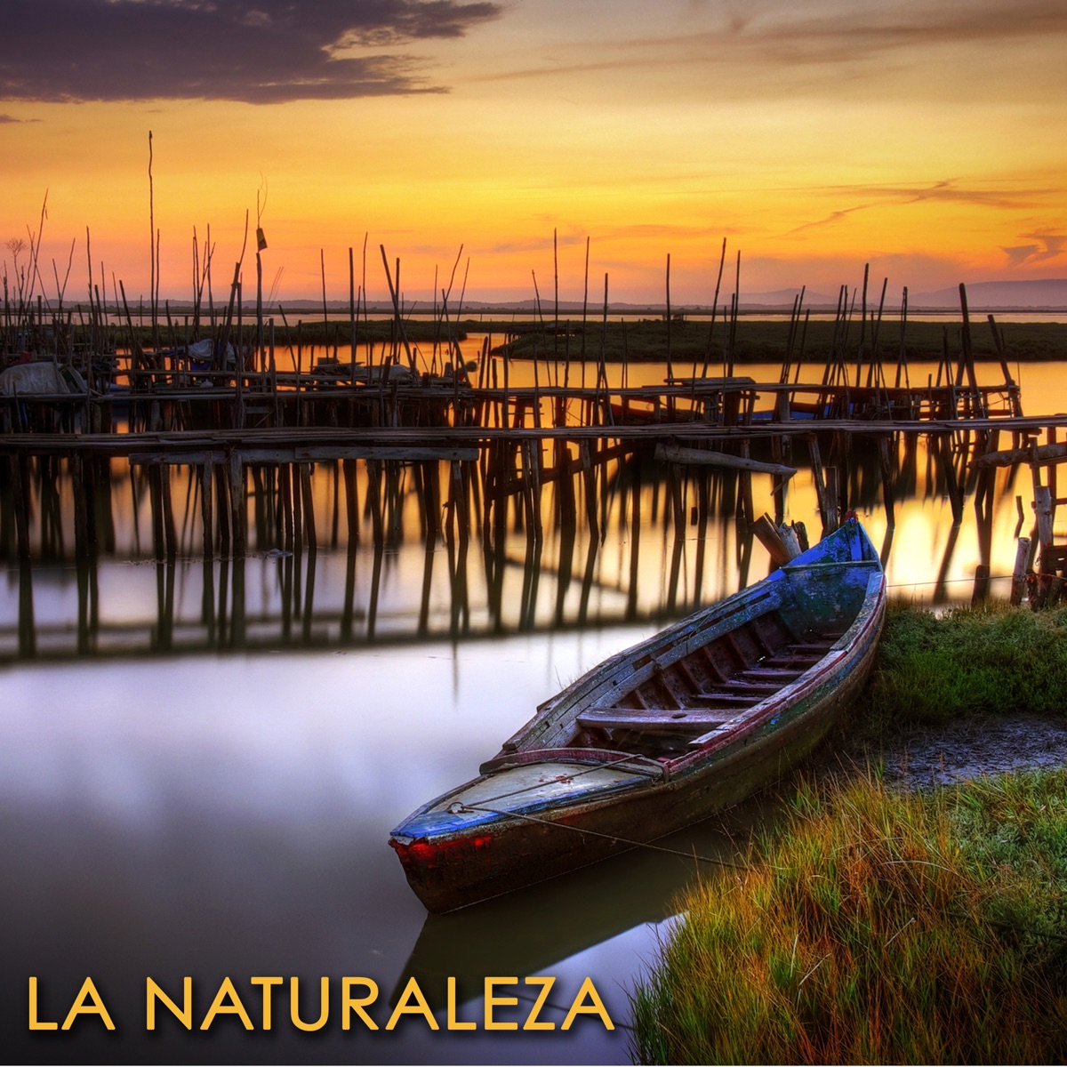 Música Relajante New Age con Sonidos de la Naturaleza - Album by Relajacion  Del Mar - Apple Music