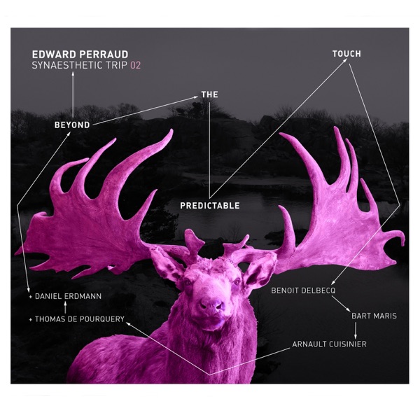 Synaesthetic Trip, Vol. 2 (feat. Daniel Erdmann, Benoit Delbecq, Bart Maris, Arnault Cuisinier & Thomas de Pourquery) [Beyond the Predictable Touch]