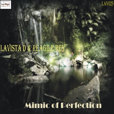 Mimic of Perfection - Single