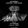 AudiTech & Lumc House - Mi Patria