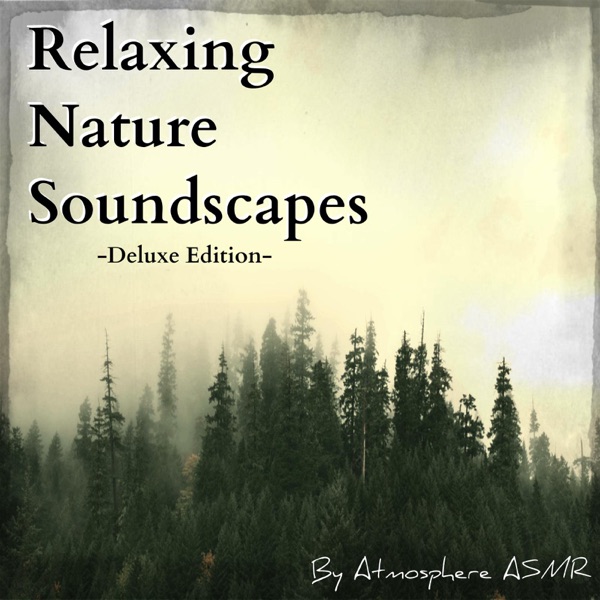 Night Time Forest + Jungle Waterfall Soundscape