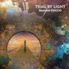 Trial by Light - Damian Coccio