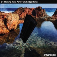 Flaming June (Ashley Wallbridge Remix) - Single - BT