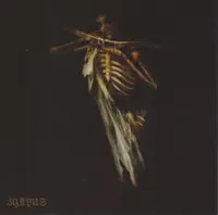 Die Nacht — Lunar Aurora