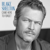 Came Here to Forget - Blake Shelton