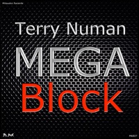 Mega Block - Single - Terry Numan