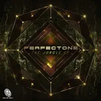 Use Acid — Perfectone