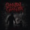 Albert Fish (feat. Alfon) - Cannibal Grandpa lyrics