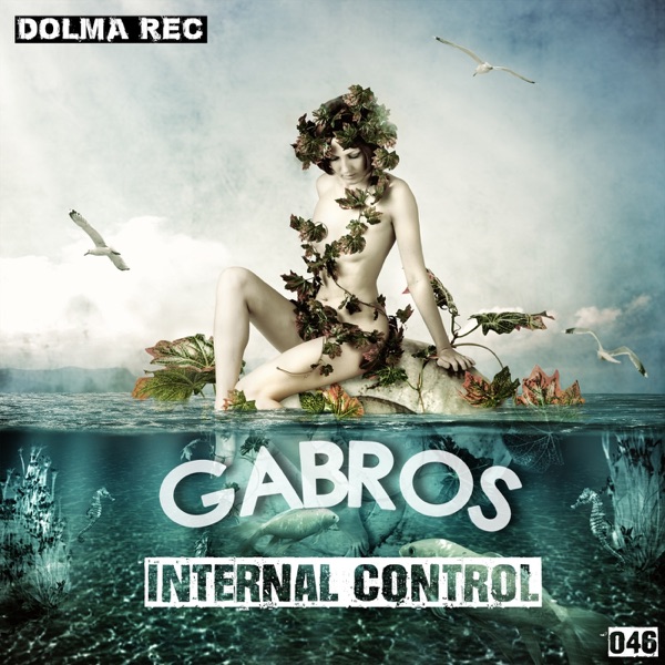Internal Control - Single