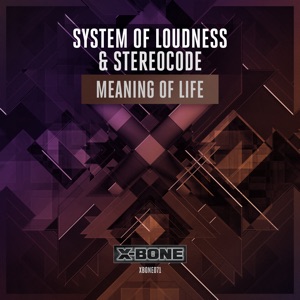 Meaning of Life - Single
