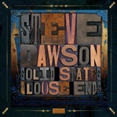 Steve Dawson - Broken Future Blues
