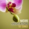 Babies White Noise Relaxation - Spa Music Relaxation Meditation lyrics