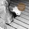 Polyester Skin - Jacob Bellens lyrics