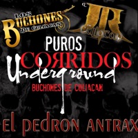 El Pedron Antrax (feat. El JR de Culiacan) - Single - Los Buchones de Culiacan
