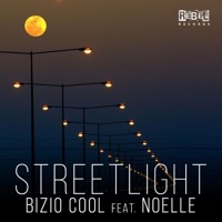 Streetlight (feat. Noelle) - Single - Bizio Cool