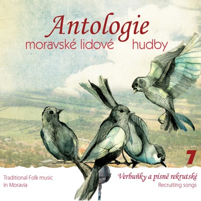 Antologie moravské lidové hudby vol.7 Verbuňky a písně rekrutské