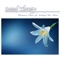 Music for Pets and their Owners - Sound Therapy Music Specialists lyrics