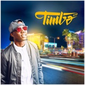 Timbo artwork