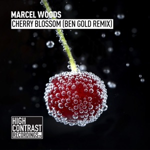 Cherry Blossom (Ben Gold Remix) - Single