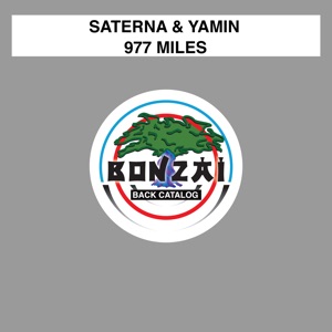977 Miles - Single