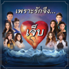 เพราะรักจึง...เจ็บ - Various Artists