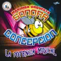 El Tacuazin